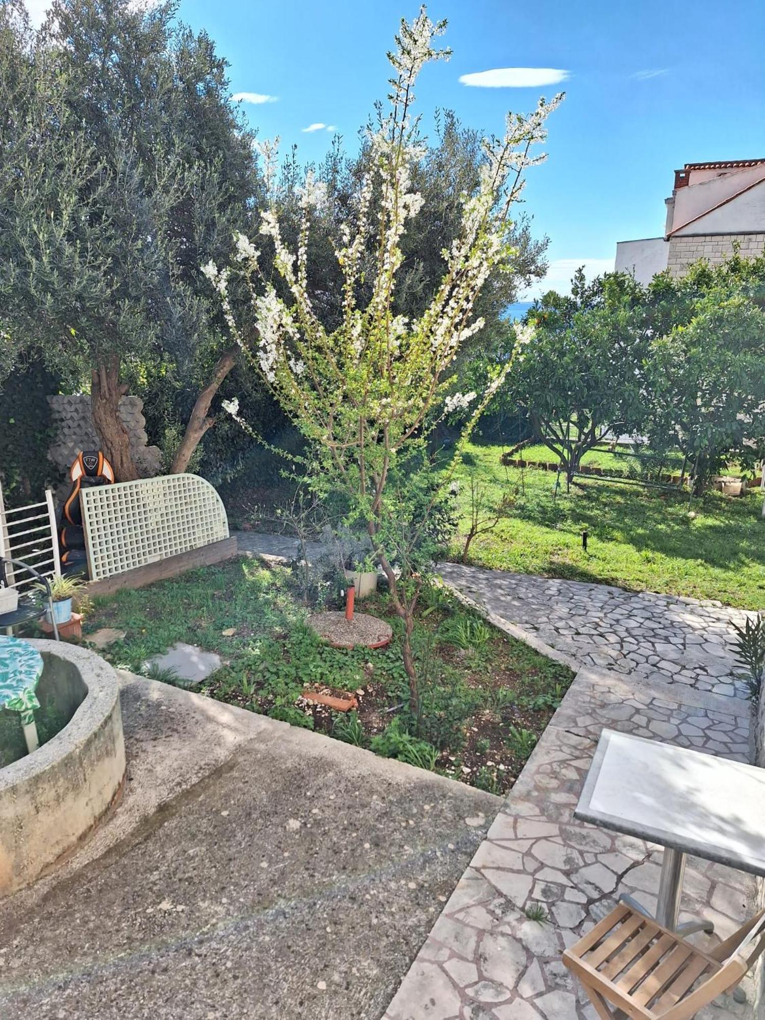 Apartment Lamante Split