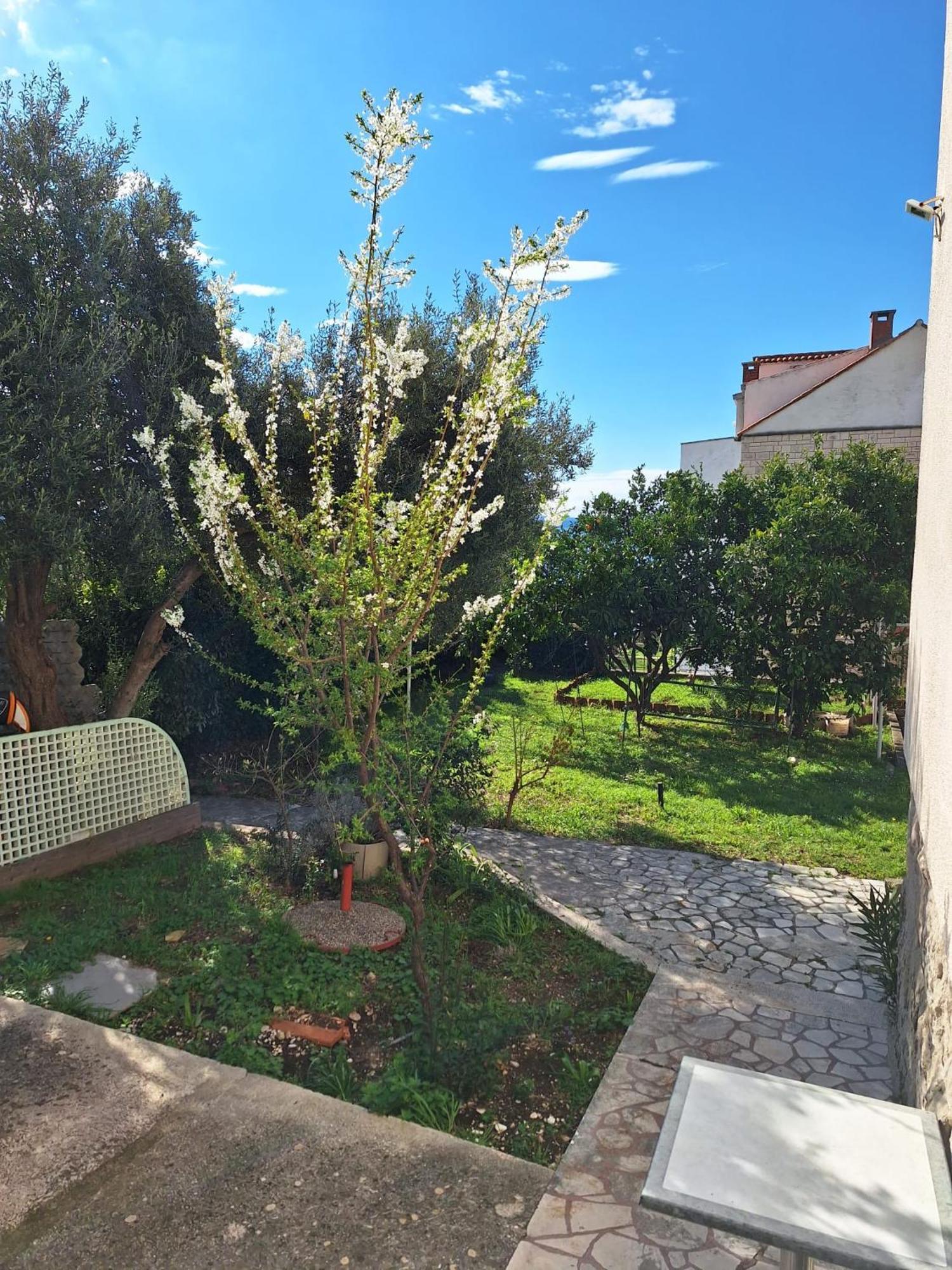 Lamante * Split